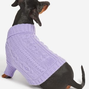 May include: A black and tan dachshund dog wearing a light purple cable knit sweater. The dog is viewed from the side, with its head turned to the right. The sweater has a turtleneck and covers the dog's body.