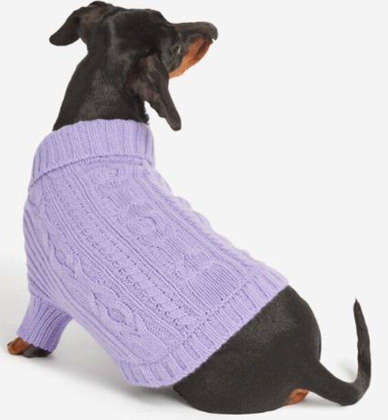 May include: A black and tan dachshund dog wearing a light purple cable knit sweater. The dog is viewed from the side, with its head turned to the right. The sweater has a turtleneck and covers the dog's body.