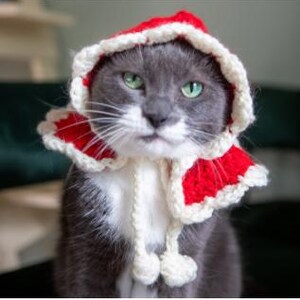May include: A gray cat with green eyes wearing a handmade red and white crocheted hood. The hood has a scalloped edge and two white pom-poms. The cat is looking directly at the camera.