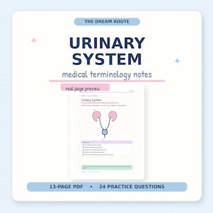 Op de afbeelding: Een 13-pagina tellend PDF-document getiteld The Dream Route Urinary System medical terminology notes. De omslag toont een voorbeeld van een pagina met een diagram van het urinestelsel, inclusief roze nieren en een blauwe blaas, plus 24 vragen.
