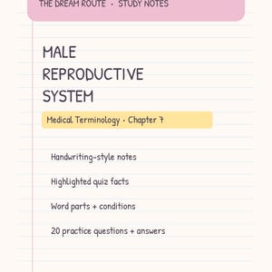 Op de afbeelding: Een digitale studienotitiepagina getiteld THE DREAM ROUTE STUDY NOTES met de tekst MALE REPRODUCTIVE SYSTEM en Medical Terminology Chapter 7. Het document bevat opsommingstekens voor handgeschreven notities, quizfeiten, woorddelen, condities en 20 oefenvragen met antwoorden, afgesloten met de tekst Personal notes pretty + practical.
