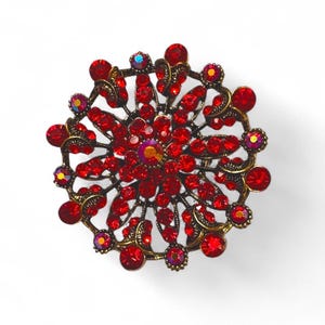 Op de afbeelding: Een ronde, sierlijke broche met een bloemmotief. De broche heeft talrijke rode edelstenen in een donker bronzen metalen frame. Iridescent accenten zijn zichtbaar rond de randen en in het midden van de broche.