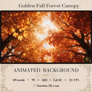 Może przedstawiać: Animowane tło zatytułowane Golden Fall Forest Canopy przedstawiające widok z dołu na jesienne gałęzie drzew z żywymi pomarańczowymi i żółtymi liśćmi na tle jasnego nieba. Tekst zawiera Ultrawide, 4K, QHD, Full HD, 30 FPS oraz Seamless 25s Loop.