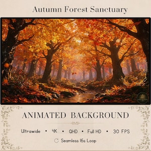 May include: An animated background titled Autumn Forest Sanctuary featuring a dense forest with vibrant orange and yellow autumn foliage, a small stream, and fallen leaves. Text includes Ultrawide, 4K, QHD, Full HD, 30 FPS, and Seamless 16s Loop.