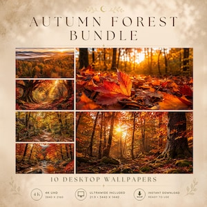 Puede incluir: Un paquete digital titulado AUTUMN FOREST BUNDLE que incluye 10 fondos de pantalla con escenas de follaje otoñal en tonos naranja, rojo y dorado. La imagen muestra senderos forestales, árboles iluminados por el sol y arroyos, con texto 4K UHD.