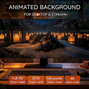 Könnte beinhalten: Ein animierter Hintergrund für Desktop und Stream auf einem Monitor, der einen Welpen auf einem weißen Fellteppich zeigt, umgeben von leuchtenden Laternen bei Nacht. Der Text umfasst ANIMATED BACKGROUND FOR DESKTOP & STREAM, Full HD 1920x1080, QHD 2560x1440, Ultrawide 3440x1440 und 4K 3840x2160.