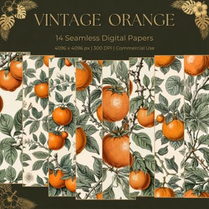 Puede incluir: Un conjunto de papel digital titulado VINTAGE ORANGE con 14 patrones sin costuras de naranjas y hojas verdes sobre fondo crema. El texto incluye 14 Seamless Digital Papers 4096 x 4096 px 300 DPI y Commercial Use.