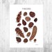 Sarah Reetz reviewed Pine Cones Field Guide Art Print  / Watercolor Painting / Wall Art / Nature Print