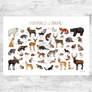 Idaho Mammals Field Guide Art Print  / Animals of Idaho / Watercolor Painting / Wall Art / Nature Print / Wildlife Poster