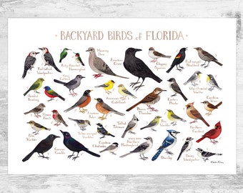Florida Backyard Birds Field Guide Art Print / Watercolor Painting Print / Birdwatching Wall Art / Nature Print / Bird Poster