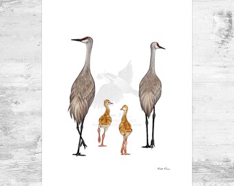 Sandhill Crane Family of 4 Signed Art Print / 8.5x11 Sandhill Crane Watercolor Painting Art Print