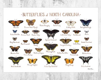 North Carolina Butterflies Field Guide Art Print / Butterfly Poster / Watercolor Painting / Wall Art / Nature Print