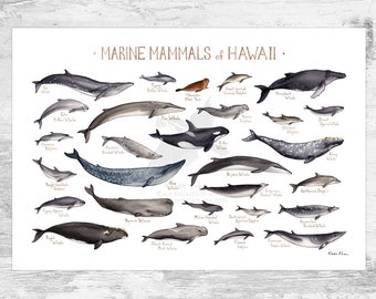 Hawaii Marine Mammals Field Guide Art Print / Ocean Animals Poster / Watercolor Painting / Wall Art / Nature Print