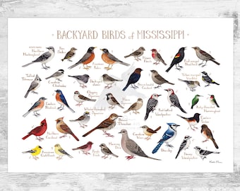 Mississippi Backyard Birds Field Guide Art Print / Watercolor Painting Print / Birdwatching Wall Art / Nature Print / Bird Poster