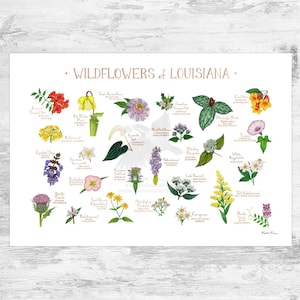 Guía de campo de flores silvestres de Luisiana Impresión de arte / Flores comunes de Luisiana / Cartel de plantas nativas de Luisiana