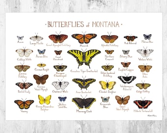 Montana Butterflies Field Guide Art Print / Butterfly Poster / Watercolor Painting / Wall Art / Nature Print