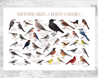 North Carolina Backyard Birds Field Guide Art Print / Watercolor Painting / Wall Art / Nature Print / Bird Poster
