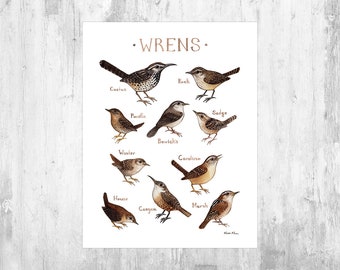 Wrens of North America  Art Print  / Watercolor Painting / Wall Art / Nature Print / Bird Art