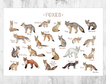 Foxes of the World Field Guide Art Print  / Watercolor Painting / Fox Wall Art / Nature Print / Wildlife Poster