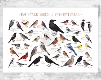 Pennsylvania Backyard Birds Field Guide Art Print / Watercolor Painting Print / Birdwatching Wall Art / Nature Print / Bird Poster