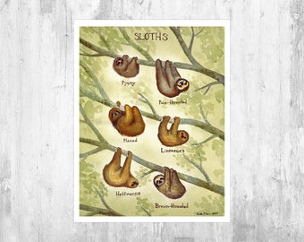 Sloths Field Guide Art Print  / Watercolor Painting / Wall Art / Nature Print / Wildlife Art