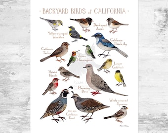 カリフォルニア裏庭の鳥類フィールドガイド アートプリント ミニ 8x10
