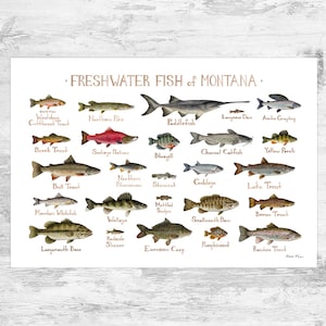 Impression d'art du guide de terrain sur les poissons d'eau douce du Montana / Poster d'étude de la nature des poissons