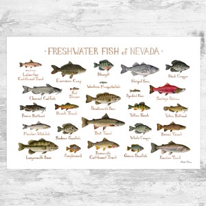 Nevada Freshwater Fish Field Guide Art Print / Fish Nature Study Poster