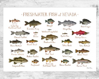 Nevada Freshwater Fish Field Guide Art Print / Fish Nature Study Poster