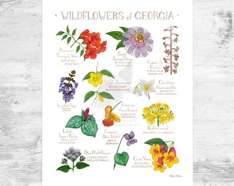 Georgia Wildflowers Field Guide Art Print Mini 8x10 - Etsy