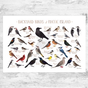 Rhode Island Backyard Birds Field Guide Art Print / Watercolor Painting Print / Birdwatching Wall Art / Nature Print / Bird Poster