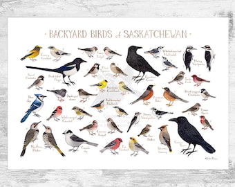 Saskatchewan Backyard Birds Field Guide Art Print / Watercolor Painting / Wall Art / Nature Print / Bird Poster