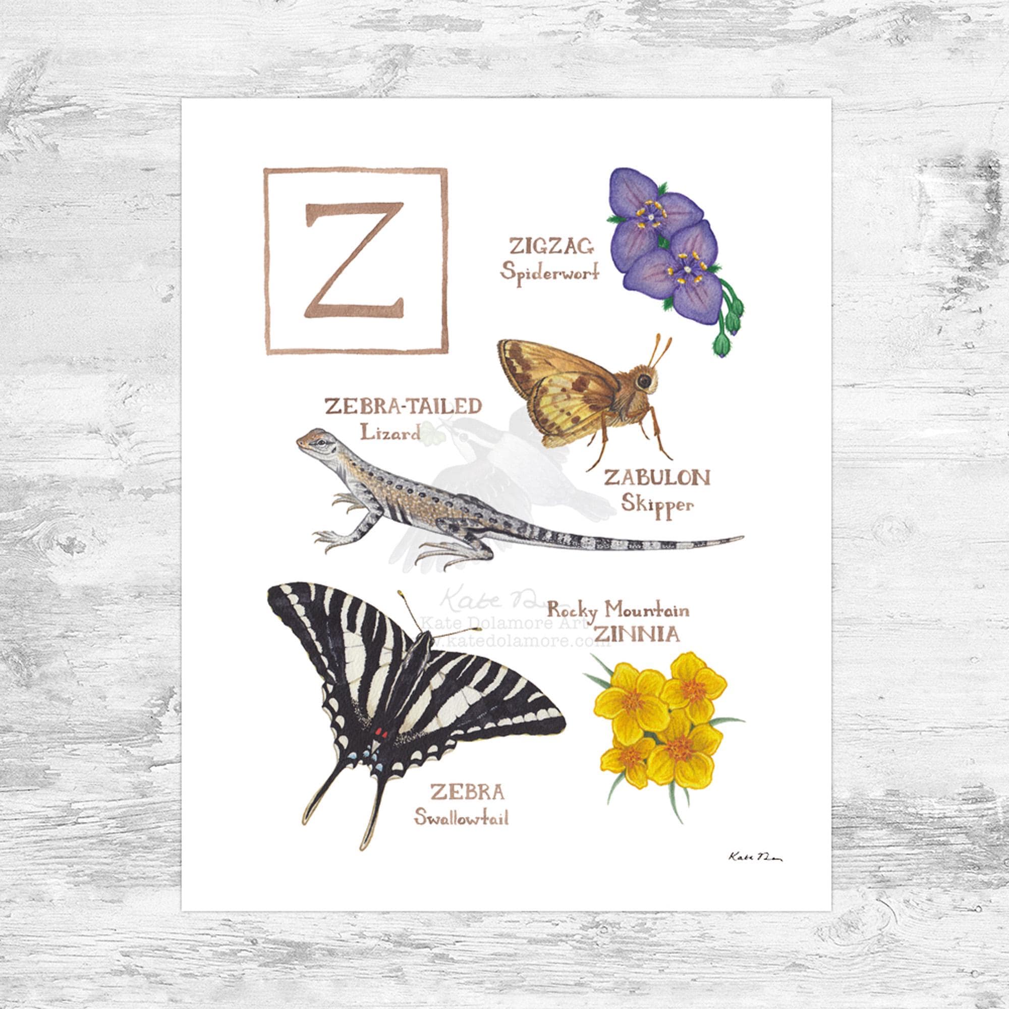 Letter "Z" Nature Alphabet 8x10 Art Print