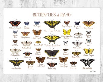 Idaho Butterflies Field Guide Art Print / Butterfly Poster / Watercolor Painting / Wall Art / Nature Print