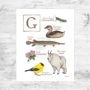 Impresión artística del alfabeto natural con la letra "G" / Arte mural con inicial y monograma de 8 x 10