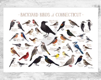 Connecticut Backyard Birds Field Guide Art Print / Watercolor Painting Print / Birdwatching Wall Art / Nature Print / Bird Poster