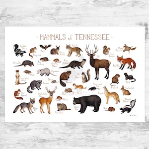 Impression d'art du guide des mammifères du Tennessee / Animaux du Tennessee / Peinture à l'aquarelle / Art mural / Impression de la nature / Poster animalier