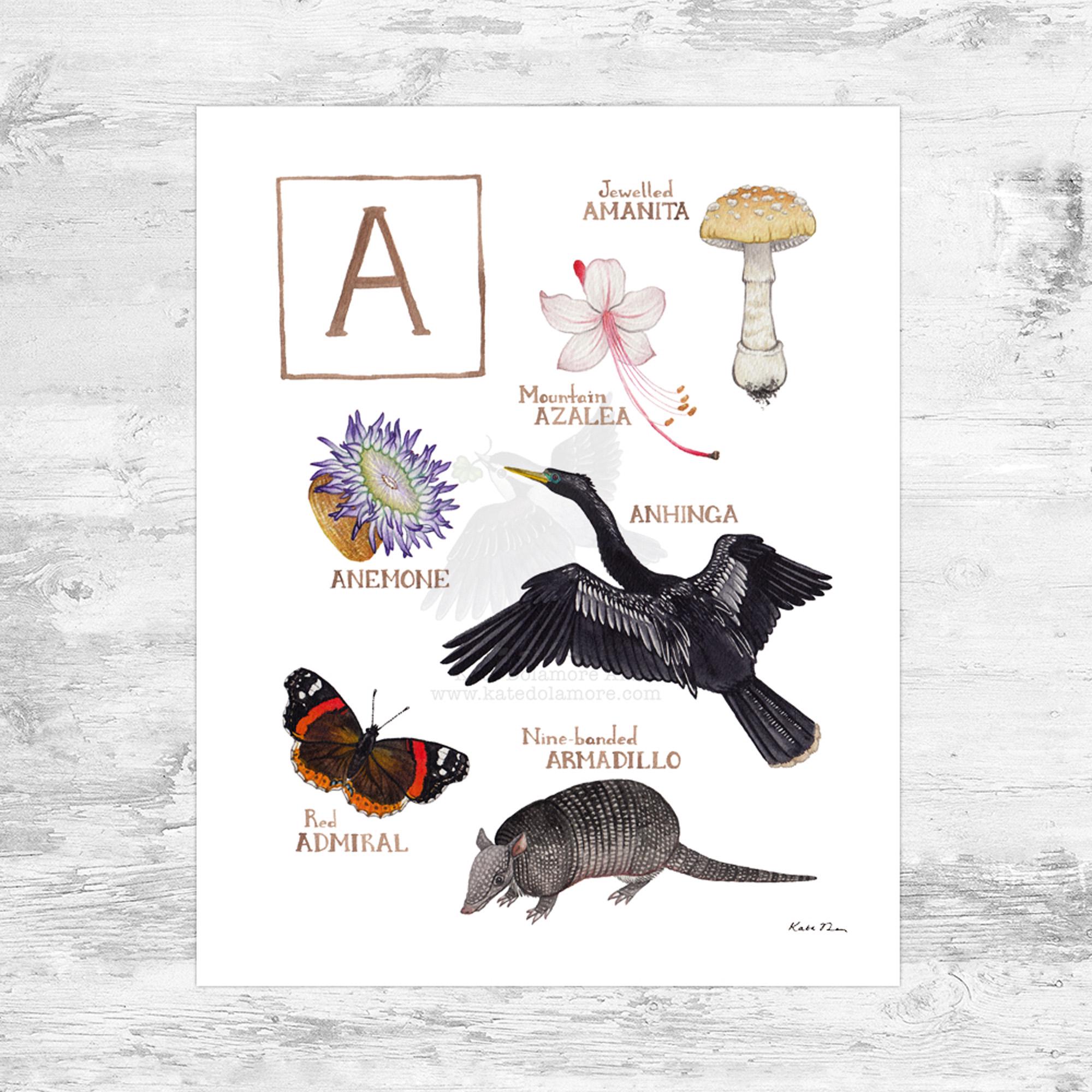 Letter "A" Nature Alphabet Art Print  / 8x10 Monogram Initial Wall Art