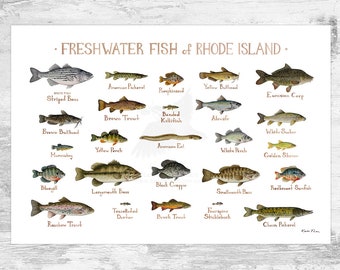 Rhode Island Freshwater Fish Field Guide Art Print / Fish Nature Study Poster