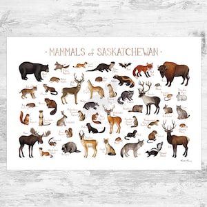 Saskatchewan Mammals Field Guide Art Print  / Animals of Canada / Canadian Wildlife Poster / Watercolor Painting / Nature Print