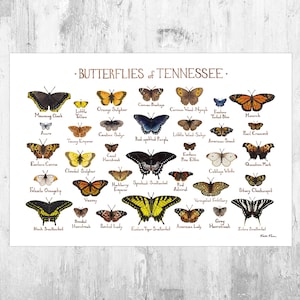 Tennessee Butterflies Field Guide Art Print / Butterfly Poster / Watercolor Painting / Wall Art / Nature Print