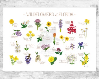 Florida Wildflowers Field Guide Art Print / Common Flowers of Florida / Florida Native Plants Poster