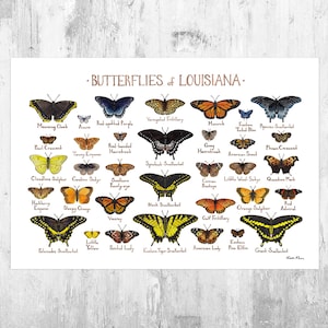 Impresión artística de la guía de campo de mariposas de Luisiana / Póster de mariposas / Pintura de acuarela / Arte mural / Impresión de naturaleza