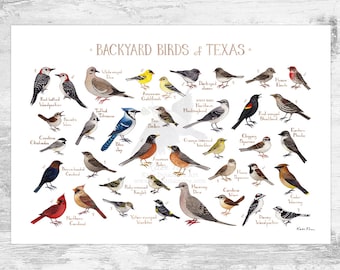 Impression d'art du Texas Backyard Birds Field Guide / Impression de peinture aquarelle / Art mural observation des oiseaux / Impression de la nature / Poster d'oiseaux