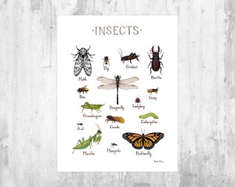 Insects Field Guide Art Print / Insect Collection / Watercolor Painting / Entomology Guide / Nature Print / Bug Art