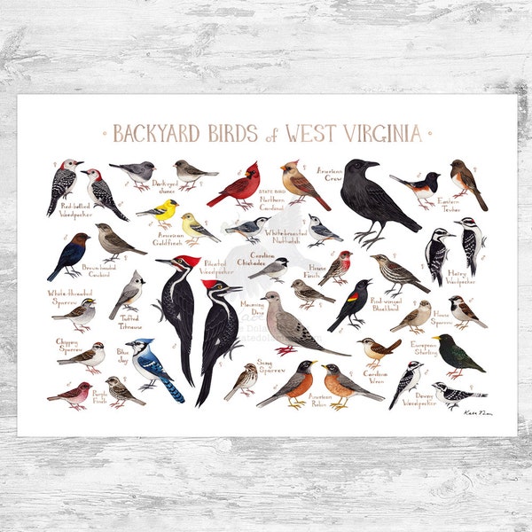 West Virginia Backyard Birds Field Guide Art Print / Watercolor Painting Print / Birdwatching Wall Art / Nature Print / Bird Poster