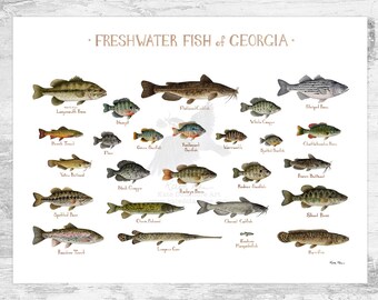 洋書　Freshwater Aquarium Fishes 淡水魚　大型本 洋書 Freshwater Aquarium Fishes 淡水魚 大型本