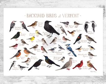 Vermont Backyard Birds Field Guide Art Print / Watercolor Painting Print / Birdwatching Wall Art / Nature Print / Bird Poster