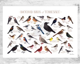 Tennessee Backyard Birds Field Guide Art Print / Watercolor Painting Print / Birdwatching Wall Art / Nature Print / Bird Poster