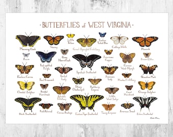 West Virginia Butterflies Field Guide Art Print / Butterfly Poster / Watercolor Painting / Wall Art / Nature Print